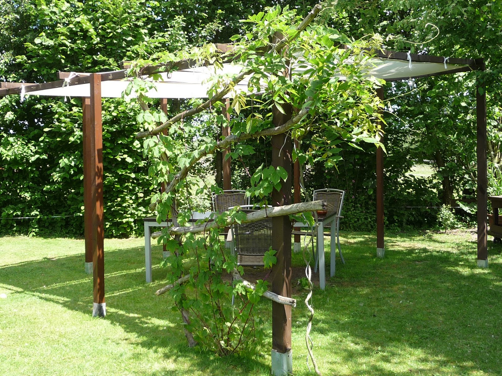 Mosines Eckchen Nähen im Garten?